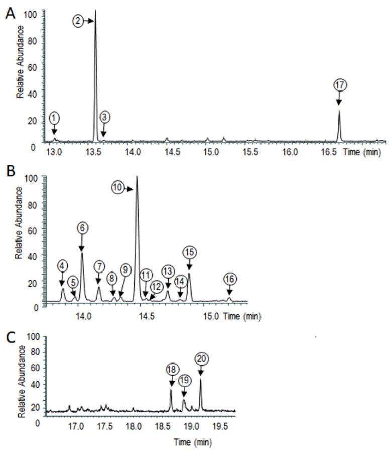 https://cdn.ncbi.nlm.nih.gov/pmc/blobs/d64f/9224709/94db292b5406/jof-08-00555-g002.jpg