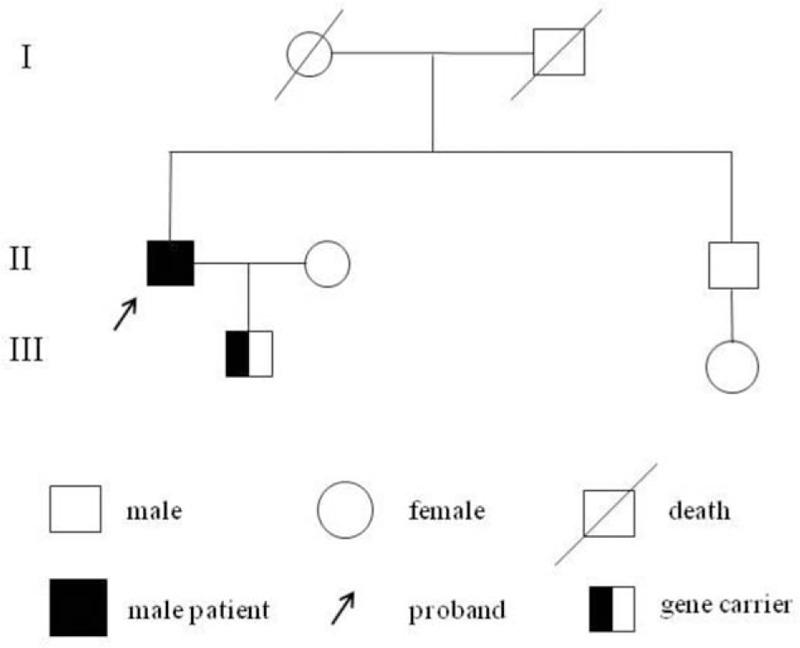 https://cdn.ncbi.nlm.nih.gov/pmc/blobs/d652/9282035/09e69883ac6f/medi-100-e25160-g004.jpg