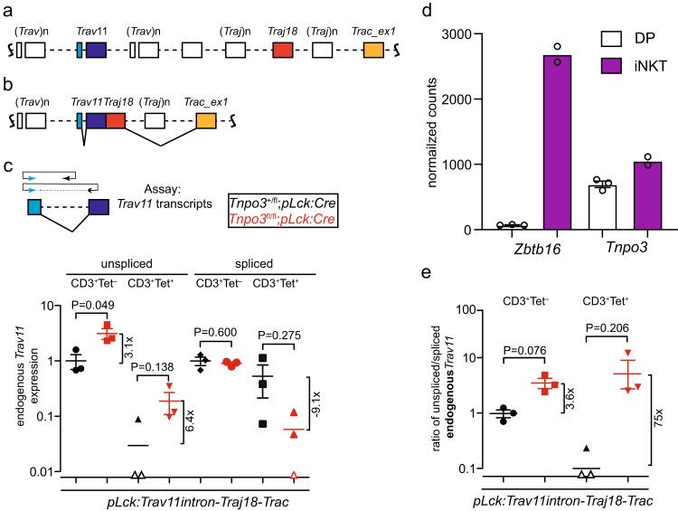 https://cdn.ncbi.nlm.nih.gov/pmc/blobs/d653/10282035/2331089b94c9/41467_2023_39422_Fig5_HTML.jpg