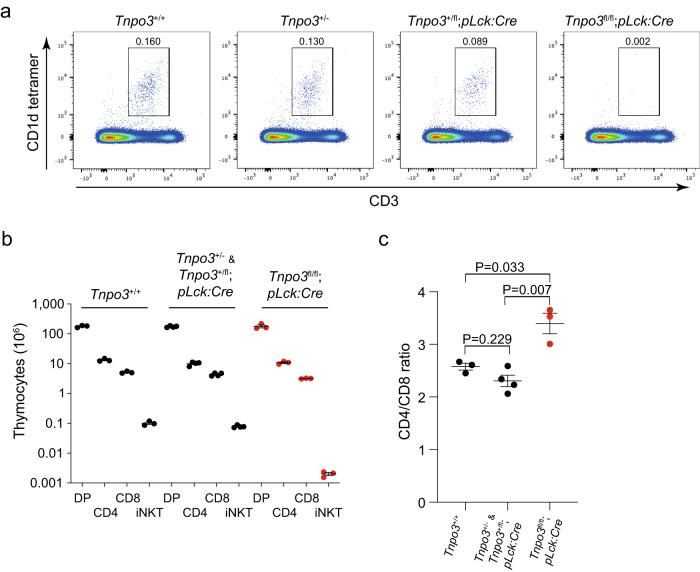 https://cdn.ncbi.nlm.nih.gov/pmc/blobs/d653/10282035/844f04a6b506/41467_2023_39422_Fig1_HTML.jpg