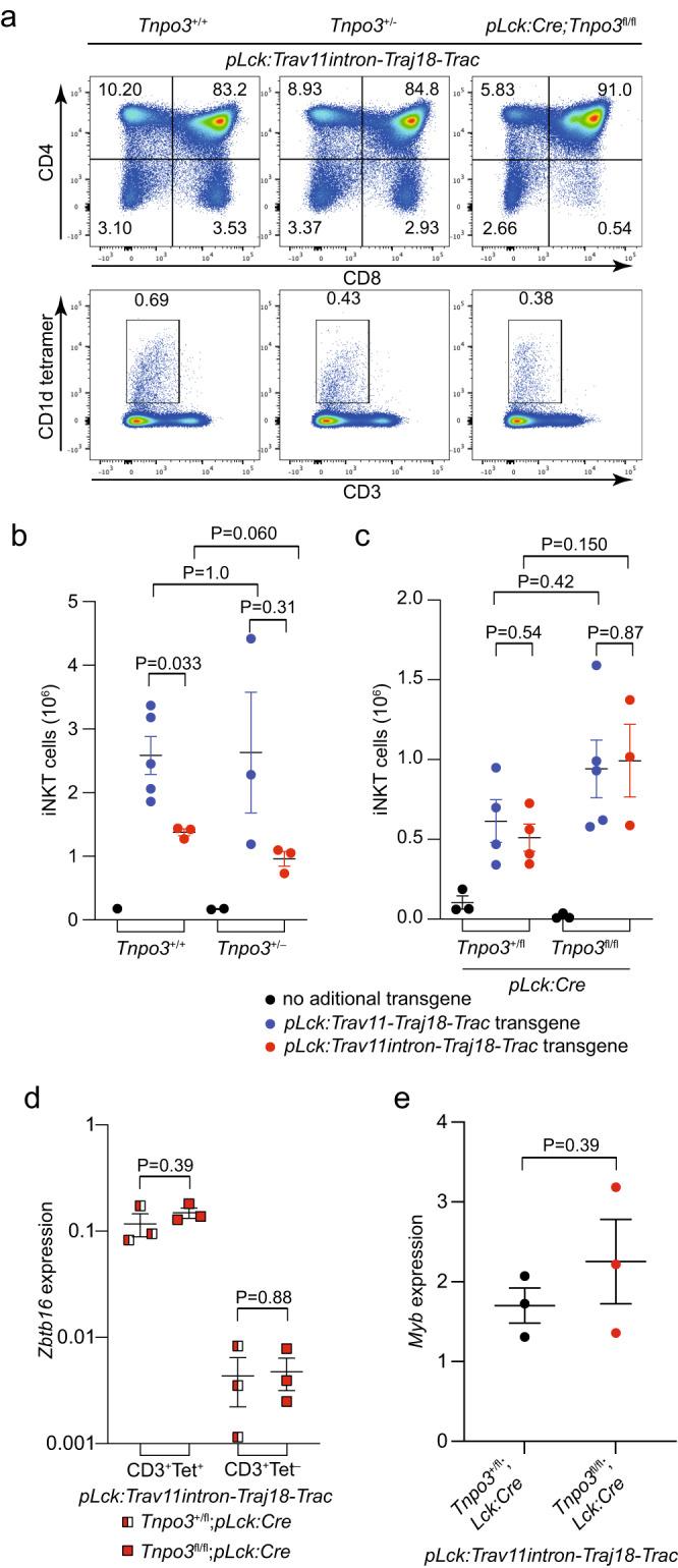 https://cdn.ncbi.nlm.nih.gov/pmc/blobs/d653/10282035/8cf794619957/41467_2023_39422_Fig4_HTML.jpg