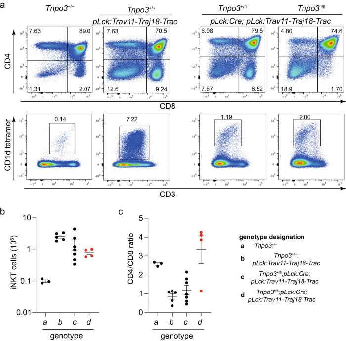 https://cdn.ncbi.nlm.nih.gov/pmc/blobs/d653/10282035/9e034fbd5d9d/41467_2023_39422_Fig2_HTML.jpg