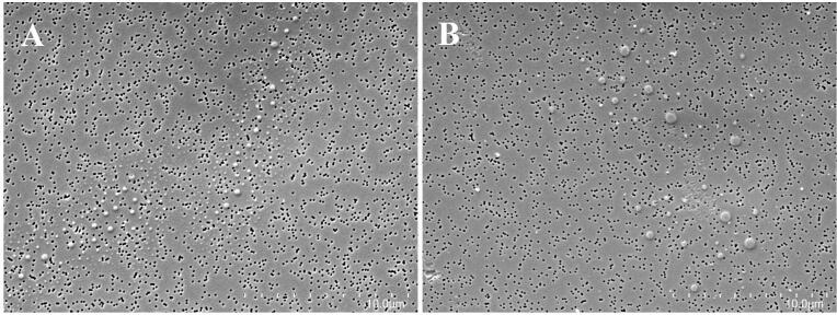 https://cdn.ncbi.nlm.nih.gov/pmc/blobs/d657/8527049/dc7caace49c2/gr2.jpg