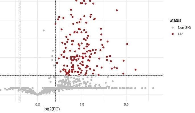 https://cdn.ncbi.nlm.nih.gov/pmc/blobs/d659/11101566/475049805340/784_2024_5698_Fig3_HTML.jpg
