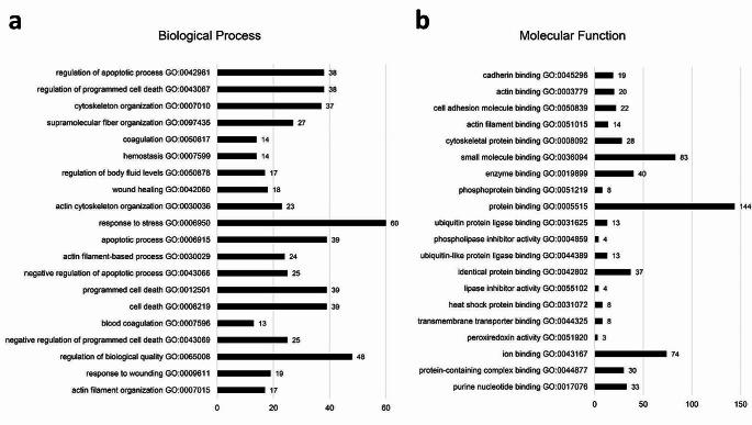 https://cdn.ncbi.nlm.nih.gov/pmc/blobs/d659/11101566/ae3baae1f7e9/784_2024_5698_Fig4_HTML.jpg