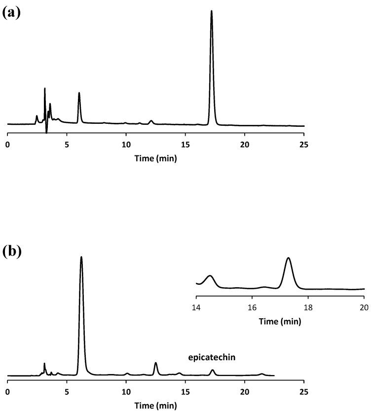 https://cdn.ncbi.nlm.nih.gov/pmc/blobs/d65b/9952295/6a35c640f418/antioxidants-12-00469-g001.jpg