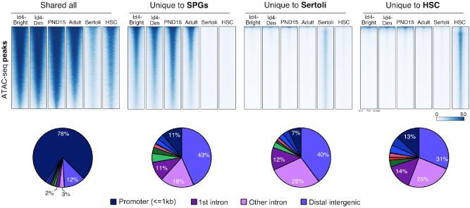 https://cdn.ncbi.nlm.nih.gov/pmc/blobs/d65f/11999699/83a05c62e76b/elife-91528-sa4-fig10.jpg