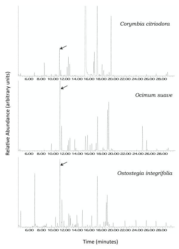 https://cdn.ncbi.nlm.nih.gov/pmc/blobs/d666/3285543/34f389fcca31/1475-2875-10-375-5.jpg