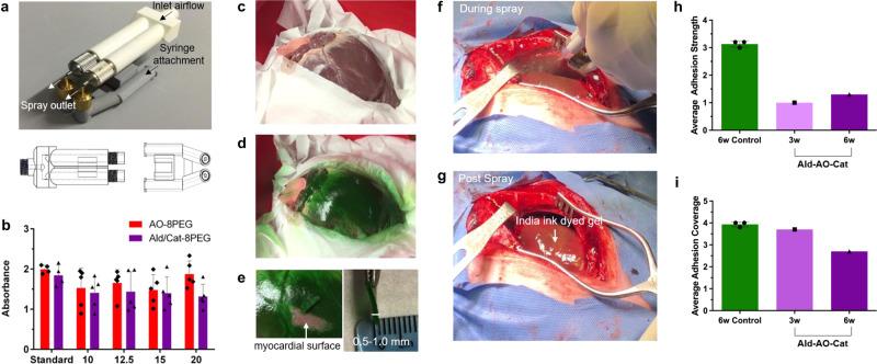 https://cdn.ncbi.nlm.nih.gov/pmc/blobs/d667/8213776/cd9a42e21177/41467_2021_24104_Fig7_HTML.jpg