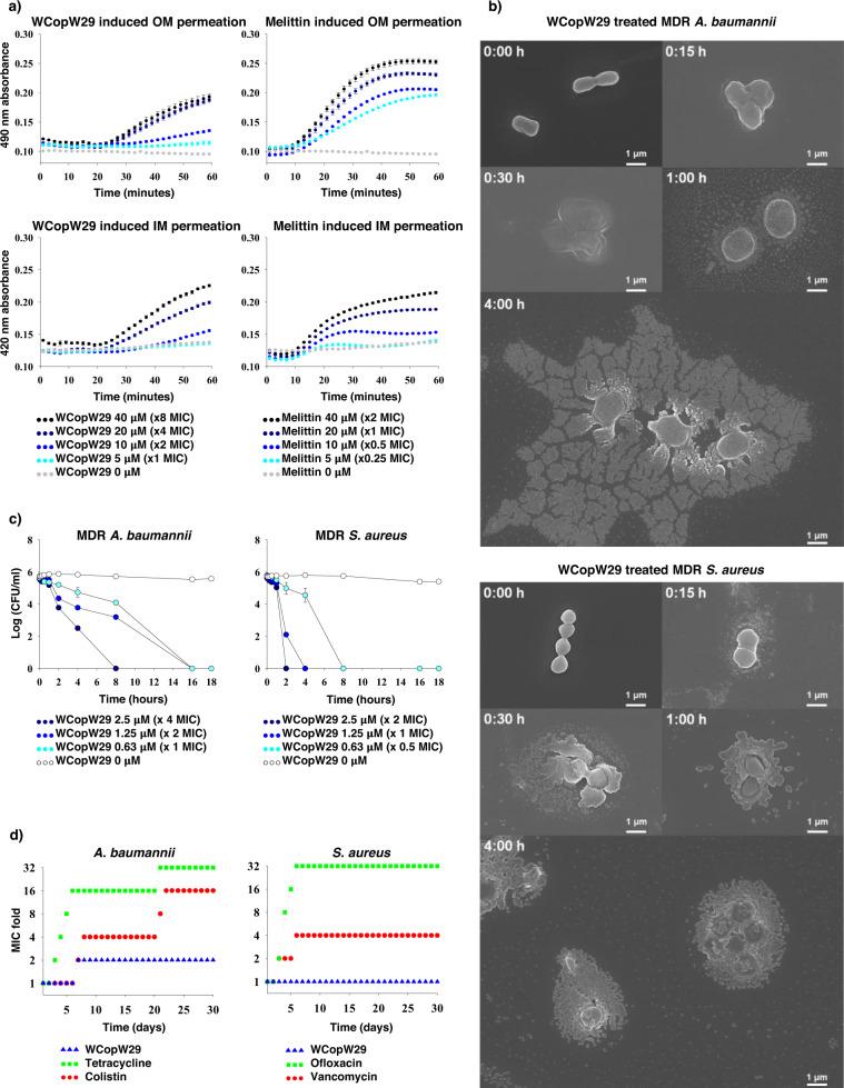 https://cdn.ncbi.nlm.nih.gov/pmc/blobs/d667/9643456/b41c226e564b/42003_2022_4164_Fig3_HTML.jpg