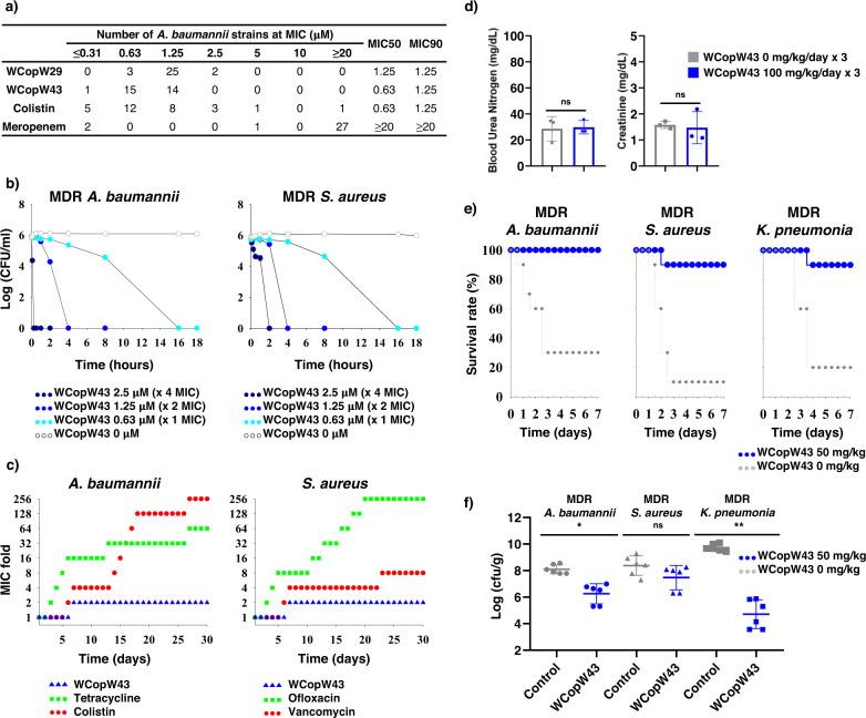 https://cdn.ncbi.nlm.nih.gov/pmc/blobs/d667/9643456/e53d91053dc6/42003_2022_4164_Fig4_HTML.jpg