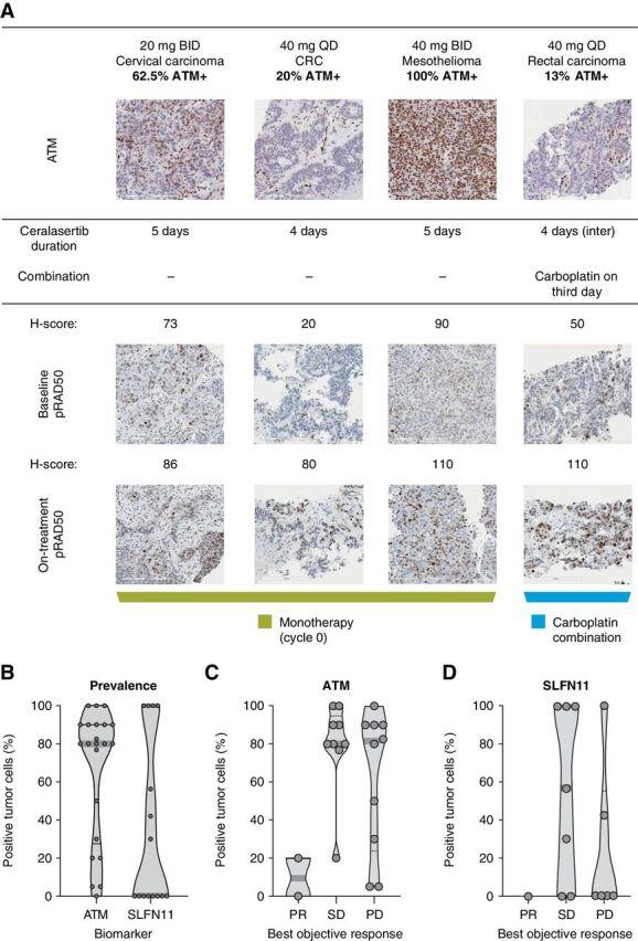 https://cdn.ncbi.nlm.nih.gov/pmc/blobs/d668/9401487/bb9d620d3dd6/5213fig4.jpg
