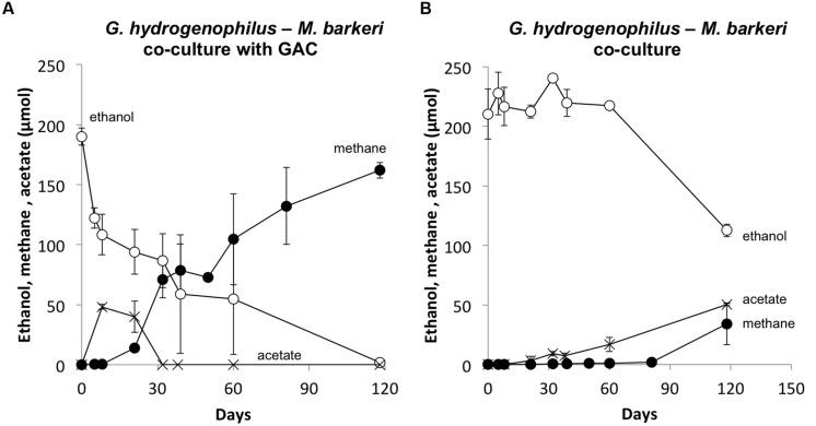 https://cdn.ncbi.nlm.nih.gov/pmc/blobs/d669/4523033/ac31287cce05/fmicb-06-00744-g005.jpg