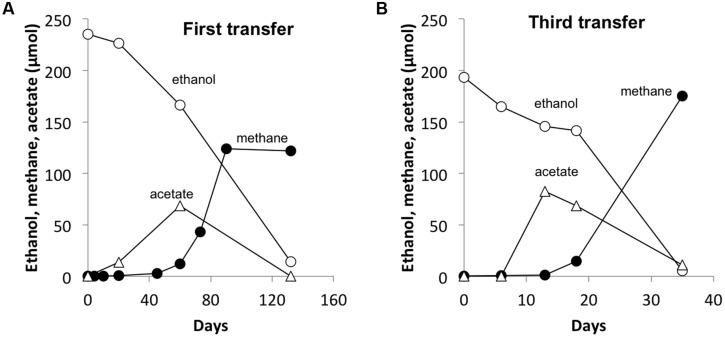 https://cdn.ncbi.nlm.nih.gov/pmc/blobs/d669/4523033/ceff2bf99aed/fmicb-06-00744-g003.jpg