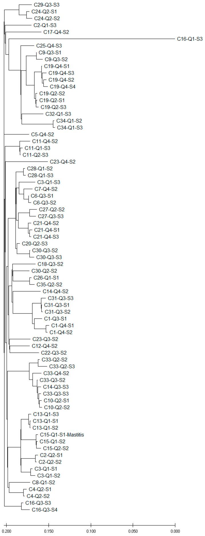 https://cdn.ncbi.nlm.nih.gov/pmc/blobs/d66b/11728532/a3575ce34bb1/microorganisms-12-02651-g002.jpg