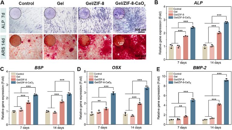 https://cdn.ncbi.nlm.nih.gov/pmc/blobs/d66c/11226730/310c26327e72/gr5.jpg