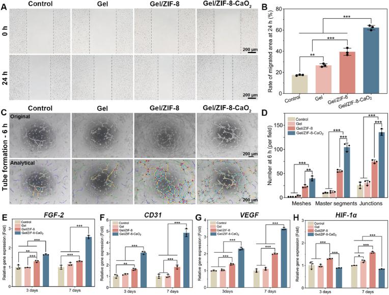 https://cdn.ncbi.nlm.nih.gov/pmc/blobs/d66c/11226730/52f44cc27975/gr4.jpg