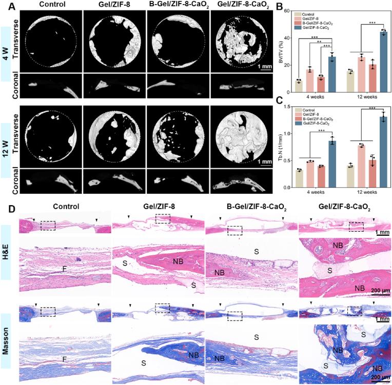 https://cdn.ncbi.nlm.nih.gov/pmc/blobs/d66c/11226730/7d7464ed4b8e/gr7.jpg