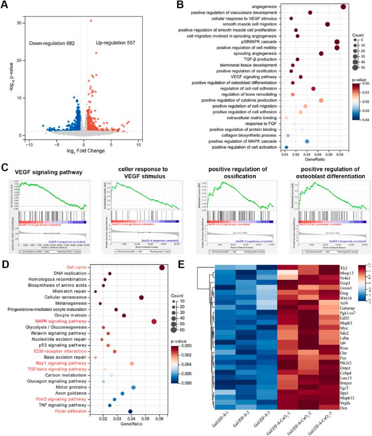 https://cdn.ncbi.nlm.nih.gov/pmc/blobs/d66c/11226730/b8014a2f5368/gr9.jpg