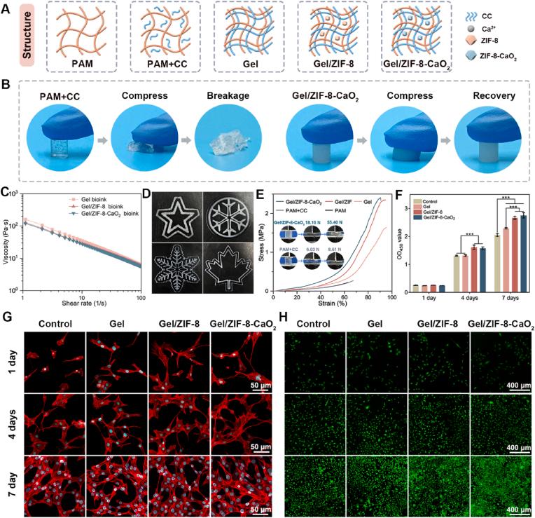 https://cdn.ncbi.nlm.nih.gov/pmc/blobs/d66c/11226730/f646e9b5fbc9/gr3.jpg