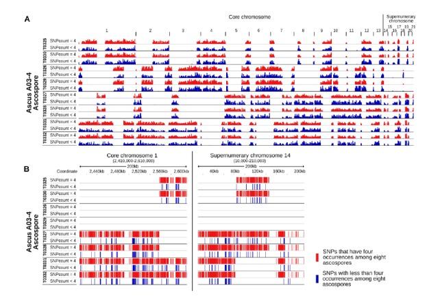 https://cdn.ncbi.nlm.nih.gov/pmc/blobs/d66c/6331196/7391f942ba33/elife-40251-resp-fig1.jpg