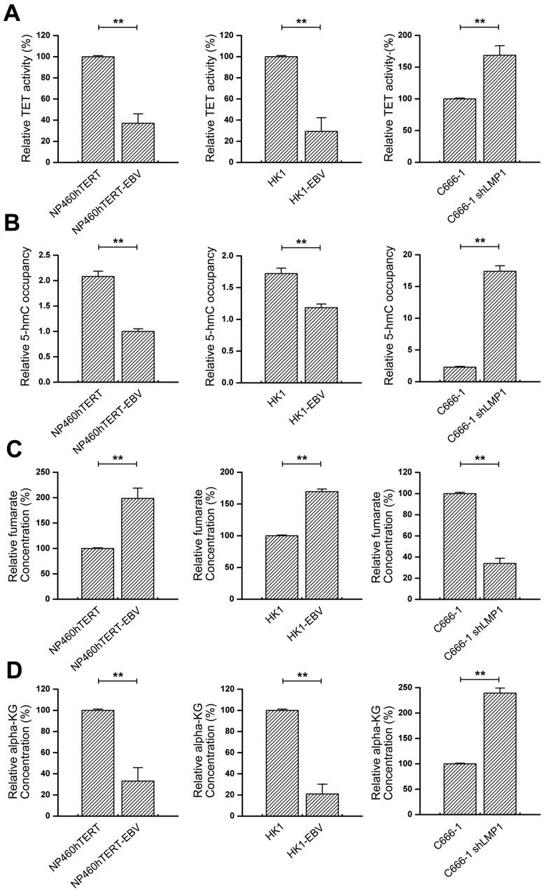 https://cdn.ncbi.nlm.nih.gov/pmc/blobs/d66c/6525991/cc8786cd6c27/thnov09p2424g004.jpg