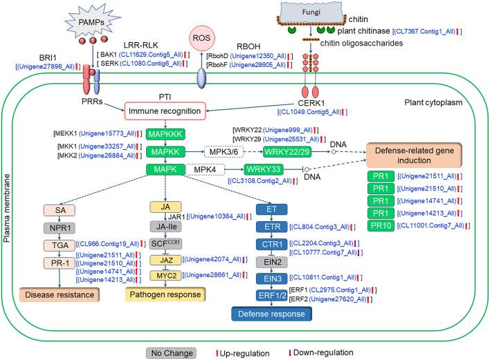 https://cdn.ncbi.nlm.nih.gov/pmc/blobs/d66e/11402206/ecf465591700/12864_2024_10784_Fig11_HTML.jpg