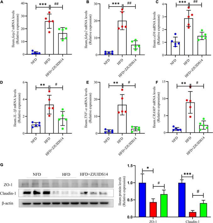 https://cdn.ncbi.nlm.nih.gov/pmc/blobs/d673/9868733/60d32cf7d266/fnut-09-1071284-g006.jpg