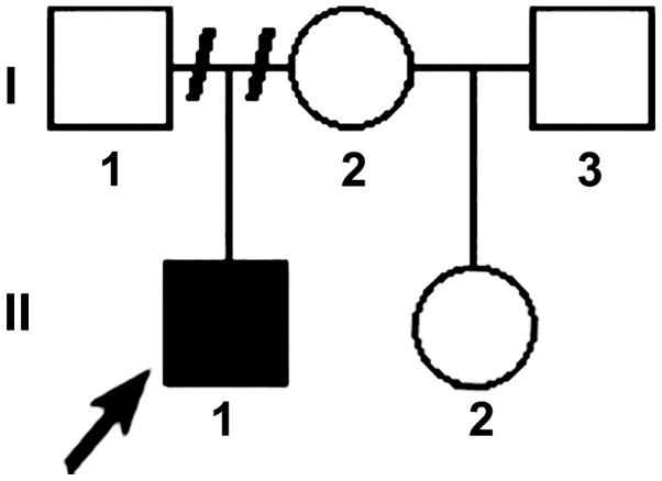 https://cdn.ncbi.nlm.nih.gov/pmc/blobs/d674/6143868/580ddb0fd823/etm-16-04-3589-g00.jpg