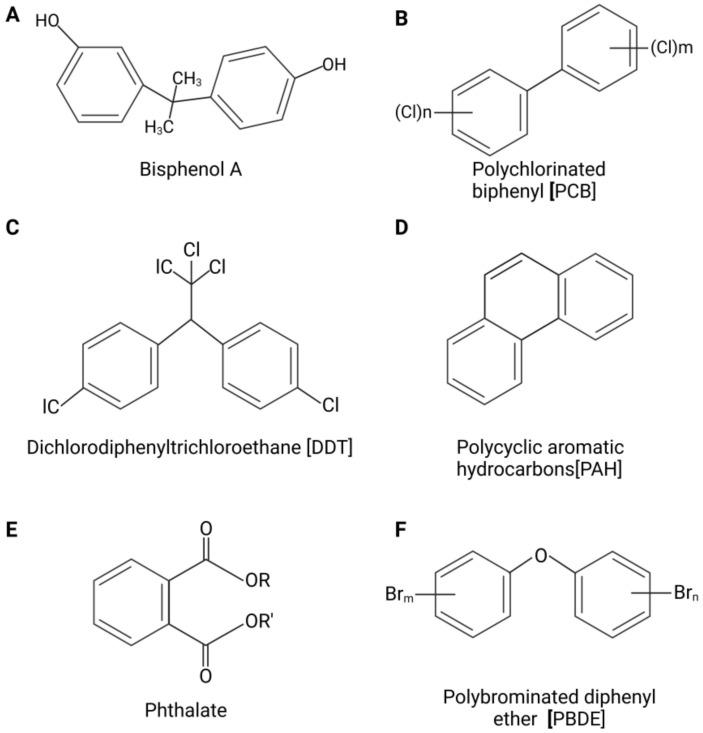 https://cdn.ncbi.nlm.nih.gov/pmc/blobs/d675/10219141/6cc716e8713a/ijms-24-08870-g001.jpg