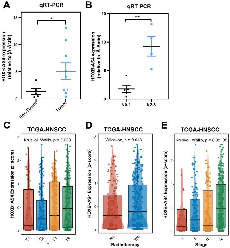 https://cdn.ncbi.nlm.nih.gov/pmc/blobs/d675/12244335/1b42f3fff4e4/jcav16p2997g003.jpg