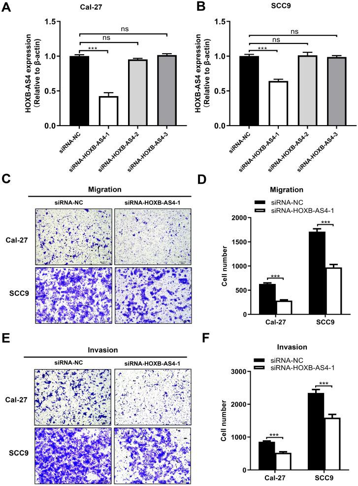 https://cdn.ncbi.nlm.nih.gov/pmc/blobs/d675/12244335/6093c25299cf/jcav16p2997g004.jpg