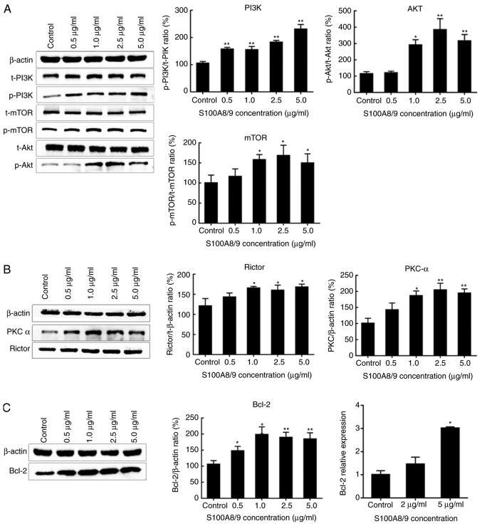 https://cdn.ncbi.nlm.nih.gov/pmc/blobs/d675/7646991/25795802a456/MMR-22-06-5293-g02.jpg