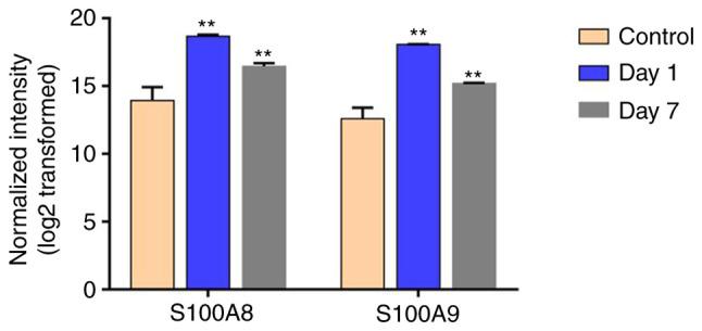 https://cdn.ncbi.nlm.nih.gov/pmc/blobs/d675/7646991/d74faa6396ac/MMR-22-06-5293-g00.jpg