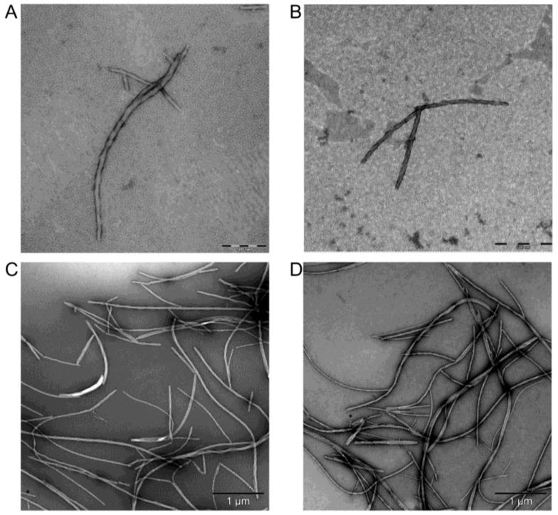 https://cdn.ncbi.nlm.nih.gov/pmc/blobs/d678/5979349/874afbfff2ec/ijms-19-01105-g007.jpg
