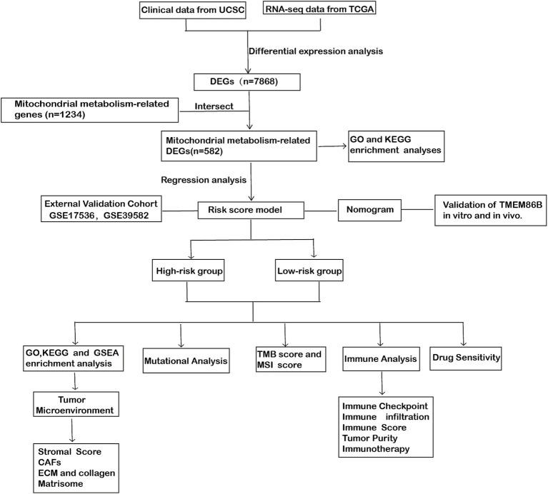 https://cdn.ncbi.nlm.nih.gov/pmc/blobs/d679/12279720/1984b496fe80/fmed-12-1618471-g001.jpg