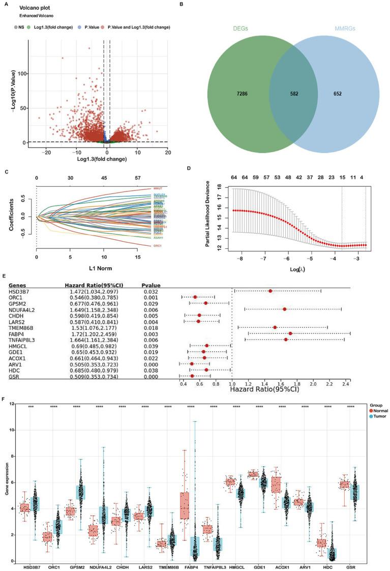 https://cdn.ncbi.nlm.nih.gov/pmc/blobs/d679/12279720/3a6050460341/fmed-12-1618471-g002.jpg