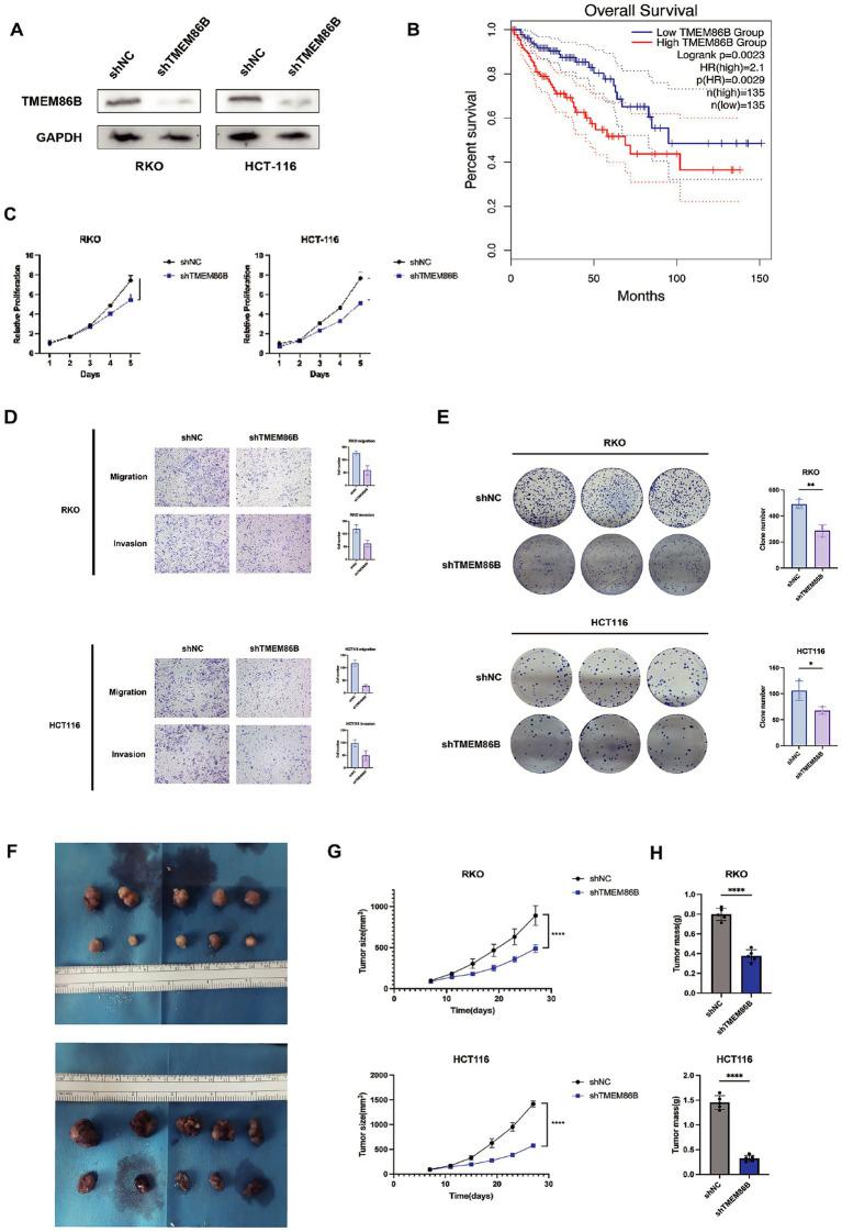 https://cdn.ncbi.nlm.nih.gov/pmc/blobs/d679/12279720/f6faf173e231/fmed-12-1618471-g011.jpg