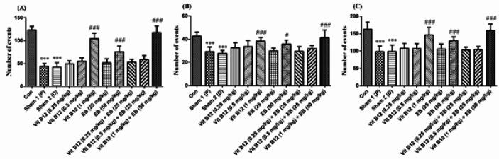 https://cdn.ncbi.nlm.nih.gov/pmc/blobs/d679/8061324/8a89c54be326/IJBMS-24-256-g003.jpg
