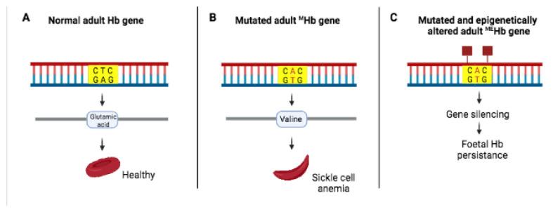 https://cdn.ncbi.nlm.nih.gov/pmc/blobs/d679/8836069/549951a351e6/ijms-23-01759-g004.jpg