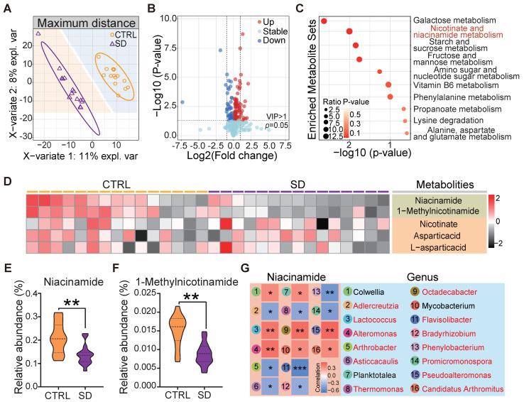https://cdn.ncbi.nlm.nih.gov/pmc/blobs/d67a/11209713/d261486391a9/thnov14p3760g003.jpg