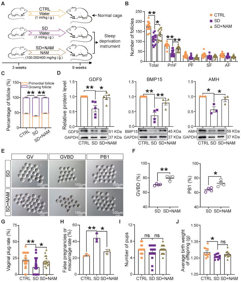 https://cdn.ncbi.nlm.nih.gov/pmc/blobs/d67a/11209713/de1660c40a87/thnov14p3760g007.jpg