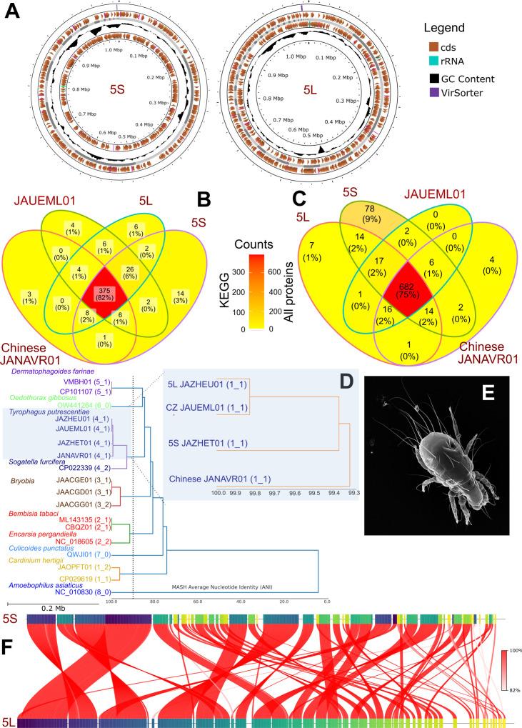 https://cdn.ncbi.nlm.nih.gov/pmc/blobs/d67b/12039267/254a7526420a/msphere.00879-24.f001.jpg