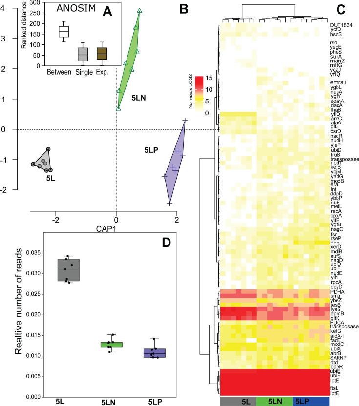 https://cdn.ncbi.nlm.nih.gov/pmc/blobs/d67b/12039267/77ef380f2789/msphere.00879-24.f003.jpg