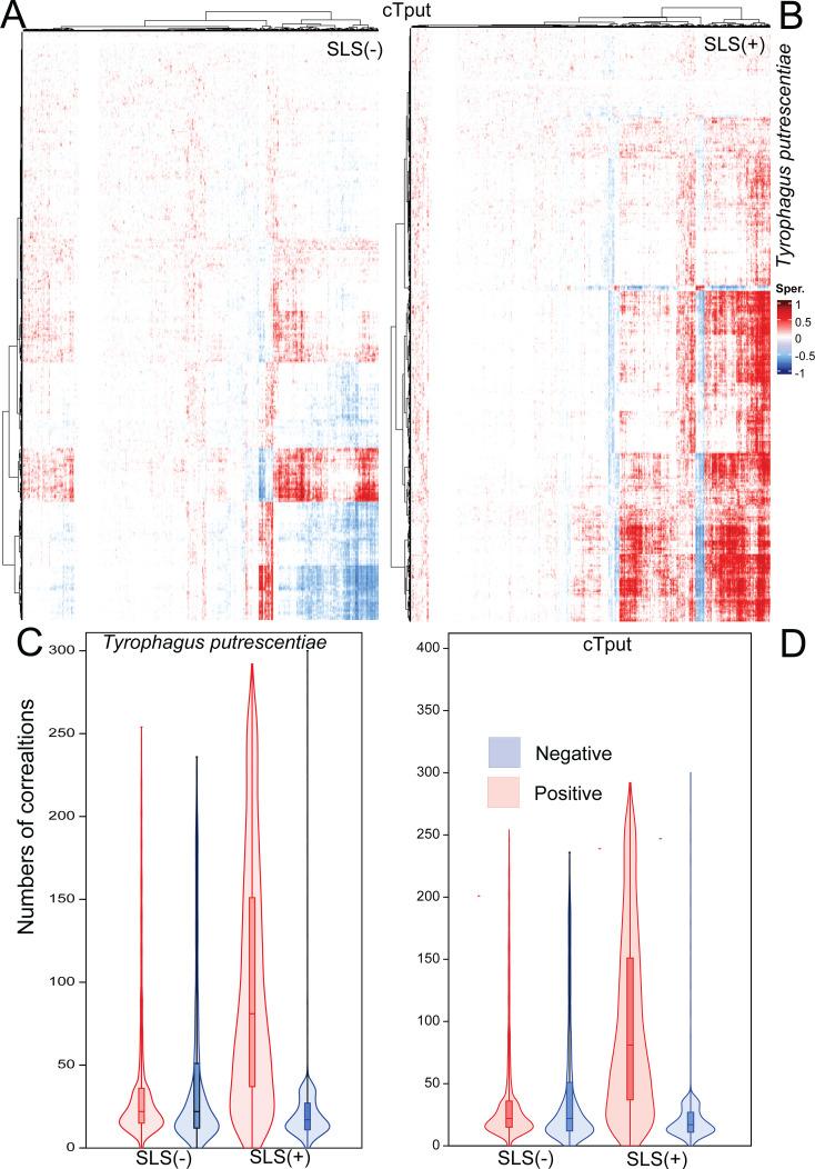 https://cdn.ncbi.nlm.nih.gov/pmc/blobs/d67b/12039267/c2b4430d3b85/msphere.00879-24.f005.jpg