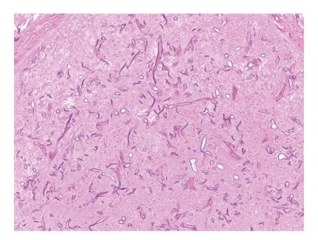 https://cdn.ncbi.nlm.nih.gov/pmc/blobs/d67b/3034994/7dcdd7c036c1/PRI2011-545981.001.jpg