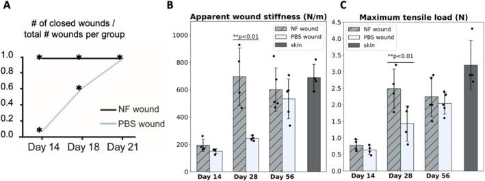 https://cdn.ncbi.nlm.nih.gov/pmc/blobs/d67d/12406645/0301b75d1fbb/WRR-33-0-g002.jpg
