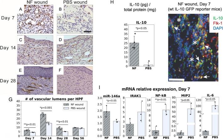 https://cdn.ncbi.nlm.nih.gov/pmc/blobs/d67d/12406645/c4d21eda37bf/WRR-33-0-g004.jpg