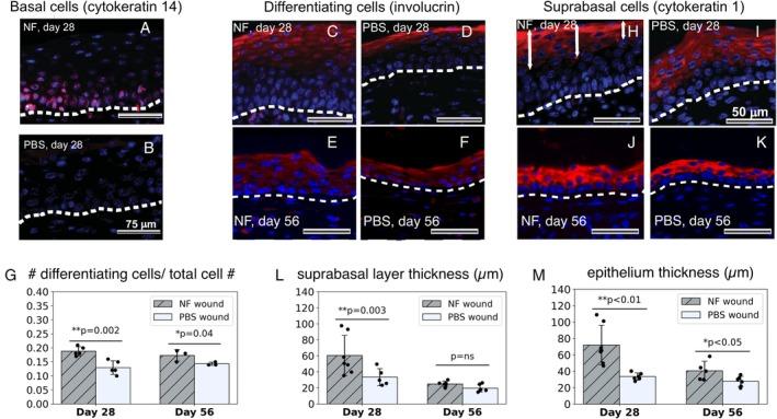https://cdn.ncbi.nlm.nih.gov/pmc/blobs/d67d/12406645/e244967f1eb1/WRR-33-0-g001.jpg