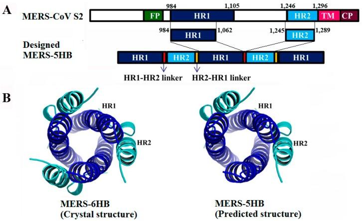 https://cdn.ncbi.nlm.nih.gov/pmc/blobs/d67d/5618021/b821a14b61bc/viruses-09-00255-g001.jpg